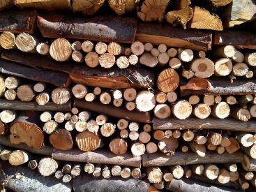 IMG00296-20111127-1147