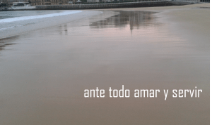 amar y servir